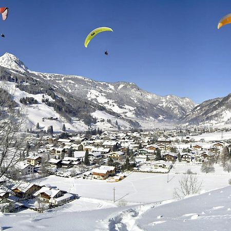 バードガシュタイン Chalet Rosemarieヴィラ エクステリア 写真