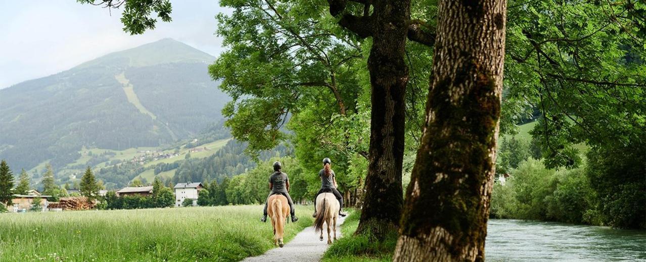 バードガシュタイン Chalet Rosemarieヴィラ エクステリア 写真
