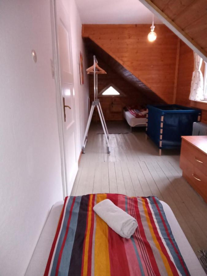 バードガシュタイン Chalet Rosemarieヴィラ エクステリア 写真