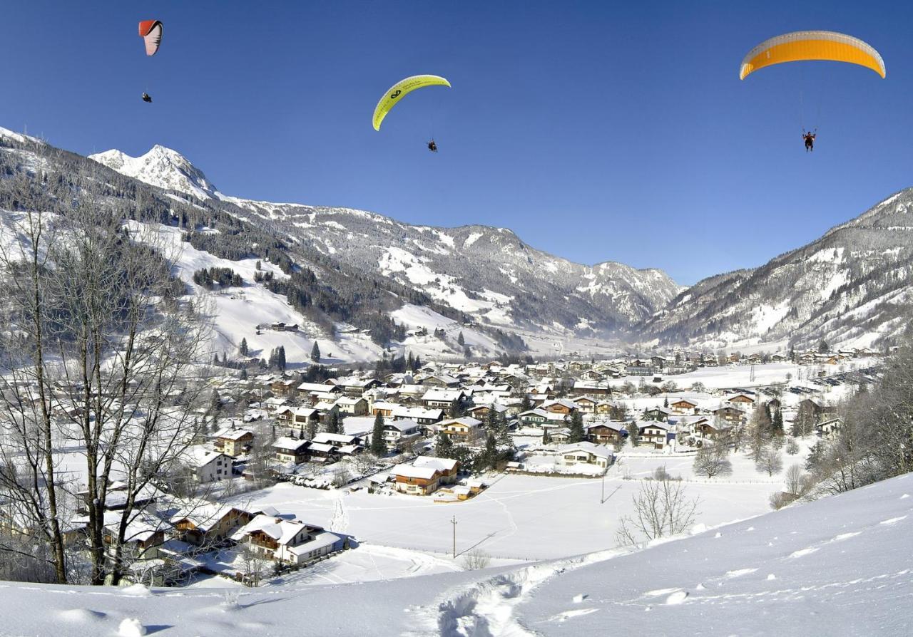 バードガシュタイン Chalet Rosemarieヴィラ エクステリア 写真